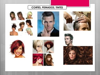 CORTES, PEINADOS, TINTES 