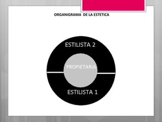 ORGANIGRAMA  DE LA ESTETICA 