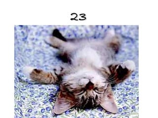 23 