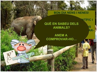 BON DIA NENS I NENES! EM DIC PEP I SÓC CIENTÍFIC I BIÒLEG. AVUI, AMB L’AJUDA D’UNS BONS AMICS, VINC A PARLAR-VOS DELS ANIM...