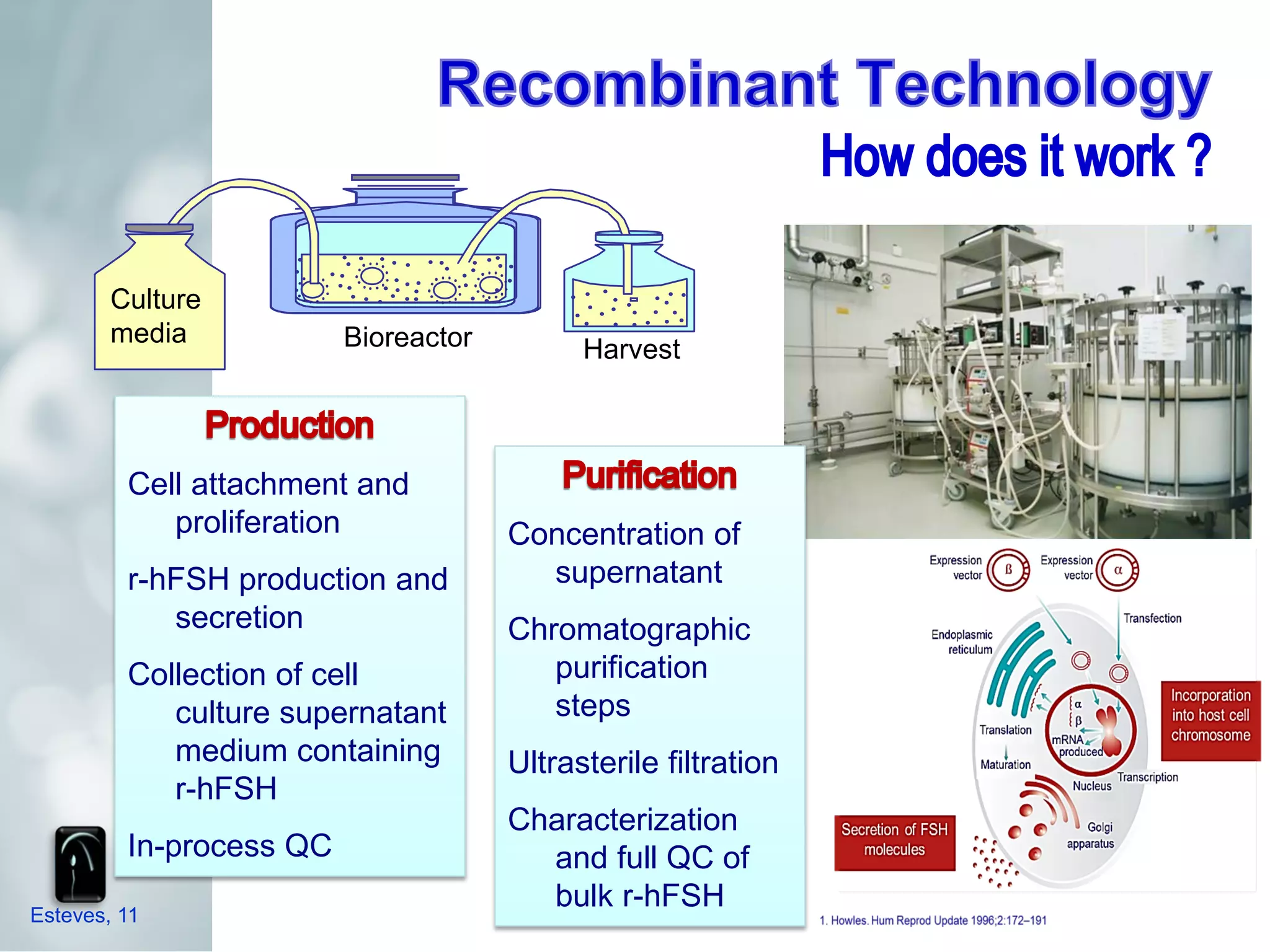 Culture
        media            Bioreactor         Harvest



         Cell attachment and
            proliferation             Concentration of
         r-hFSH production and          supernatant
            secretion                 Chromatographic
         Collection of cell              purification
            culture supernatant          steps
            medium containing         Ultrasterile filtration
            r-hFSH
                                      Characterization
         In-process QC                  and full QC of
                                        bulk r-hFSH
Esteves, 11
 