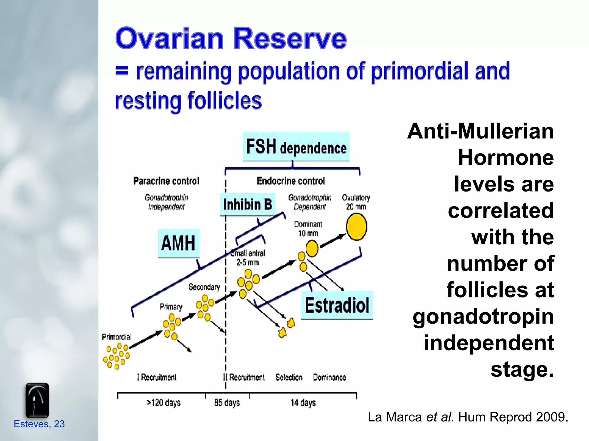 = remaining population of primordial and
              resting follicles
                                             Anti-Mullerian
                                                   Hormone
                                                  levels are
                                                 correlated
                                                    with the
                                                number of
                                                follicles at
                                             gonadotropin
                                              independent
                                                     stage.

Esteves, 23
                                       La Marca et al. Hum Reprod 2009.
 