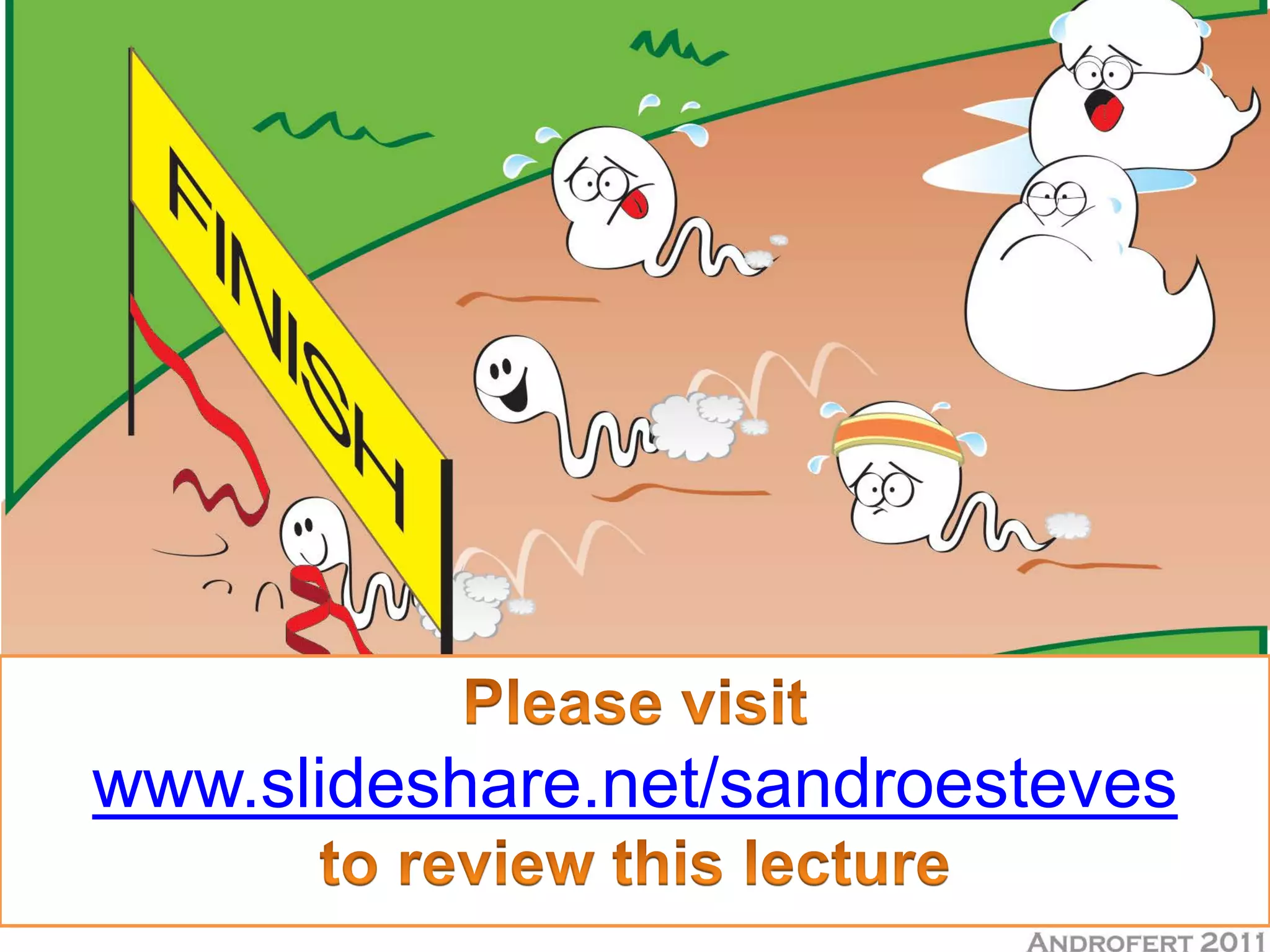 www.slideshare.net/sandroesteves
 