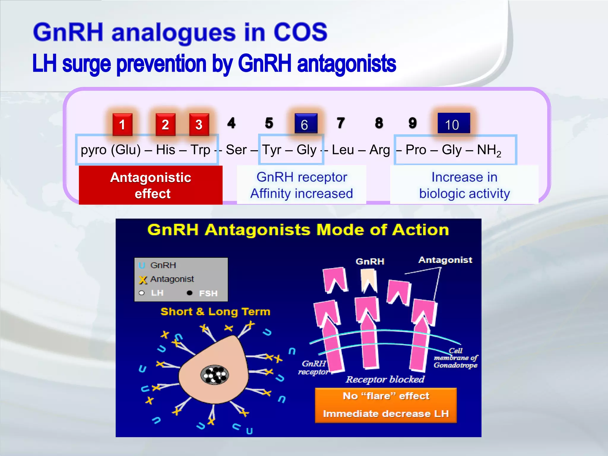 1      2     3
pyro (Glu) – His – Trp – Ser – Tyr – Gly – Leu – Arg – Pro – Gly – NH2

    Activation of the
    Antagonistic              Regulation of         Regulation of receptor
    GnRH receptor
         effect             receptor affinity         biological activity
 