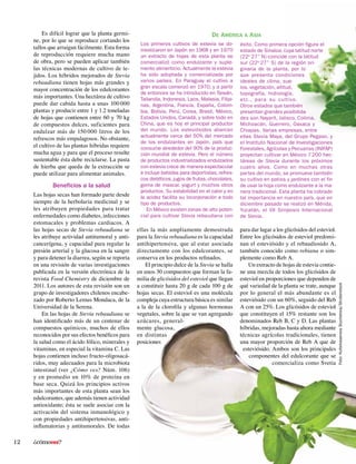 ¿cómoves?12
Es difícil lograr que la planta germi-
ne, por lo que se reproduce cortando los
tallos que arraigan fácilmente. Esta forma
de reproducción requiere mucha mano
de obra, pero se pueden aplicar también
las técnicas modernas de cultivo de te-
jidos. Los híbridos mejorados de Stevia
rebaudiana tienen hojas más grandes y
mayor concentración de los edulcorantes
más importantes. Una hectárea de cultivo
puede dar cabida hasta a unas 100 000
plantas y producir entre 1 y 1.2 toneladas
de hojas que contienen entre 60 y 70 kg
de compuestos dulces, suficientes para
endulzar más de 150 000 litros de los
refrescos más empalagosos. No obstante,
el cultivo de las plantas híbridas requiere
mucha agua y para que el proceso resulte
sustentable ésta debe reciclarse. La pasta
de hierba que queda de la extracción se
puede utilizar para alimentar animales.
Beneficios a la salud
Las hojas secas han formado parte desde
siempre de la herbolaria medicinal y se
les atribuyen propiedades para tratar
enfermedades como diabetes, infecciones
estomacales y problemas cardiacos. A
las hojas secas de Stevia rebaudiana se
les atribuye actividad antitumoral y anti-
cancerígena, y capacidad para regular la
presión arterial y la glucosa en la sangre
y para detener la diarrea, según se reporta
en una revisión de varias investigaciones
publicada en la versión electrónica de la
revista Food Chemistry de diciembre de
2011. Los autores de esta revisión son un
grupo de investigadores chilenos encabe-
zado por Roberto Lemus Mondaca, de la
Universidad de la Serena.
En las hojas de Stevia rebaudiana se
han identificado más de un centenar de
compuestos químicos, muchos de ellos
reconocidos por sus efectos benéficos para
la salud como el ácido fólico, minerales y
vitaminas, en especial la vitamina C. Las
hojas contienen incluso fructo-oligosacá-
ridos, muy adecuados para la microbiota
intestinal (ver ¿Cómo ves? Núm. 106)
y en promedio un 10% de proteína en
base seca. Quizá los principios activos
más importantes de esta planta sean los
edulcorantes, que además tienen actividad
antioxidante; ésta se suele asociar con la
activación del sistema inmunológico y
con propiedades antihipertensivas, anti-
inflamatorias y antitumorales. De todas
para dar lugar a los glicósidos del esteviol.
Entre los glicósidos de esteviol predomi-
nan el esteviósido y el rebaudiosido A,
también conocido como rebiana o sim-
plemente como Reb A.
Un extracto de hojas de estevia contie-
ne una mezcla de todos los glicósidos de
esteviol en proporciones que dependen de
qué variedad de la planta se trate, aunque
por lo general el más abundante es el
esteviósido con un 60%, seguido del Reb
A con un 25%. Los glicósidos de esteviol
que constituyen el 15% restante son los
denominados Reb B, C y D. Las plantas
híbridas, mejoradas hasta ahora mediante
técnicas agrícolas tradicionales, tienen
una mayor proporción de Reb A que de
esteviósido. Ambos son los principales
componentes del edulcorante que se
comercializa como Svetia
Los primeros cultivos de estevia se do-
mesticaron en Japón en 1968 y en 1970
un extracto de hojas de esta planta se
comercializó como endulzante y suple-
mento alimenticio. Actualmente la estevia
ha sido adoptada y comercializada por
varios países. En Paraguay el cultivo a
gran escala comenzó en 1970, y a partir
de entonces se ha introducido en Taiwán,
Tailandia, Indonesia, Laos, Malasia, Filipi-
nas, Argentina, Francia, España, Colom-
bia, Bolivia, Perú, Corea, Brasil, México,
Estados Unidos, Canadá, y sobre todo en
China, que es hoy el principal productor
del mundo. Los esteviósidos abarcan
actualmente cerca del 50% del mercado
de los endulzantes en Japón, país que
consume alrededor del 90% de la produc-
ción mundial de estevia. Pero el número
de productos industrializados endulzados
con estevia crece de manera espectacular
e incluye bebidas para deportistas, refres-
cos dietéticos,jugos de frutas,chocolates,
goma de mascar, yogurt y muchos otros
productos. Su estabilidad en el calor y en
la acidez facilita su incorporación a todo
tipo de productos.
En México existen zonas de alto poten-
cial para cultivar Stevia rebaudiana con
éxito. Como primera opción figura el
estado de Sinaloa, cuya latitud norte
(22o
27” N) coincide con la latitud
sur (22o
27” S) de la región ori-
ginaria de la planta, por lo
que presenta condiciones
ideales de clima, sue-
los, vegetación, altitud,
topografía, hidrología,
etc., para su cultivo.
Otros estados que también
presentan grandes posibilida-
des son Nayarit, Jalisco, Colima,
Michoacán, Guerrero, Oaxaca y
Chiapas. Varias empresas, entre
ellas Stevia Maya, del Grupo Pegaso, y
el Instituto Nacional de Investigaciones
Forestales, Agrícolas y Pecuarias (INIFAP)
proyectan cultivar en México 7 200 hec-
táreas de Stevia durante los próximos
cuatro años. Como en muchas otras
partes del mundo, se promueve también
su cultivo en patios y jardines con el fin
de usar la hoja como endulzante a la ma-
nera tradicional. Esta planta ha cobrado
tal importancia en nuestro país, que en
diciembre pasado se realizó en Mérida,
Yucatán, el VII Simposio Internacional
de Stevia.
De América a Asia
ellas la más ampliamente demostrada
para la Stevia rebaudiana es la capacidad
antihipertensiva, que al estar asociada
directamente con los edulcorantes, se
conserva en los productos refinados.
El principio dulce de la Stevia se halla
en unos 30 compuestos que forman la fa-
milia de glicósidos del esteviol que llegan
a constituir hasta 20 g de cada 100 g de
hojas secas. El esteviol es una molécula
compleja cuya estructura básica es similar
a la de la clorofila y algunas hormonas
vegetales, sobre la que se van agregando
azúcares, general-
mente glucosa,
en distintas
posiciones Foto:KuttelvaserovaStuchelova/Shutterstock
 