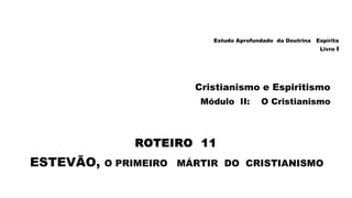 Estudo Aprofundado da Doutrina Espírita
Livro I
Cristianismo e Espiritismo
Módulo II: O Cristianismo
ROTEIRO 11
ESTEVÃO, O PRIMEIRO MÁRTIR DO CRISTIANISMO
 