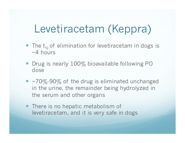 levetiracetam for dogs the shake an in depth look at epilepsy levetiracetam for dogs the shake an in depth look at epilepsy