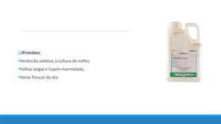 Primóleo;
Herbicida seletivo à cultura do milho;
Folhas largas e Capim-marmelada;
Horas frescas do dia.
 