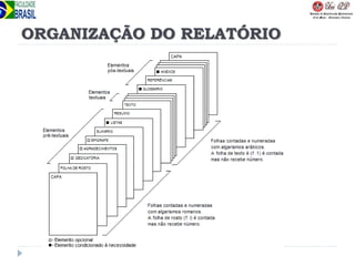 ORGANIZAÇÃO DO RELATÓRIO
 
