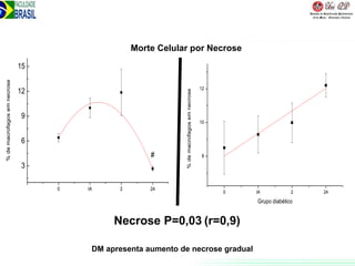 0 IA 2 24
3
6
9
12
15
#
%demacrofagosemnecrose
0 IA 2 24
8
10
12
%demacrofagosemnecrose
Grupo diabético
Necrose P=0,03 (r=0,9)
DM apresenta aumento de necrose gradual
Morte Celular por Necrose
 