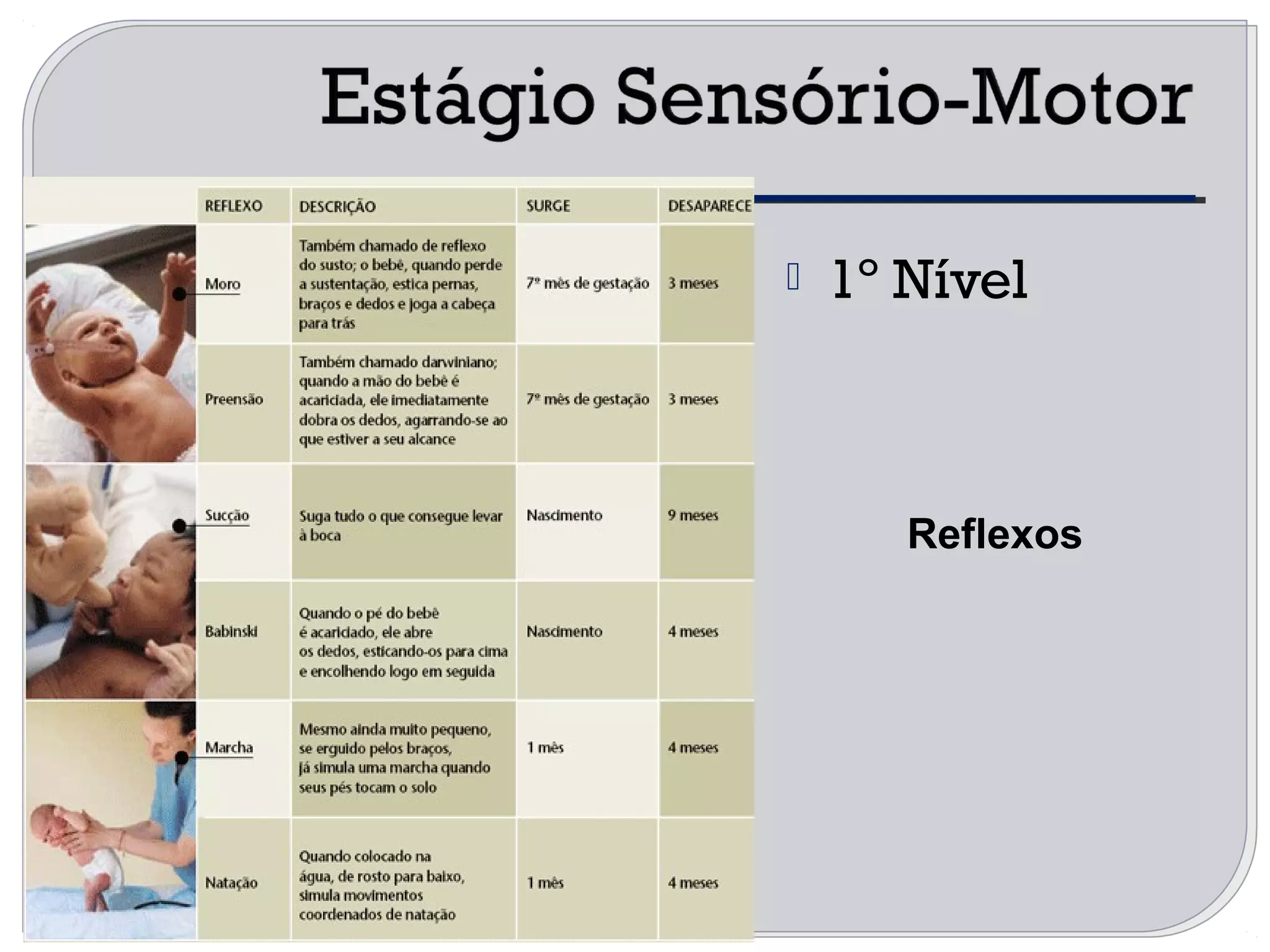  1º Nível
Reflexos
 