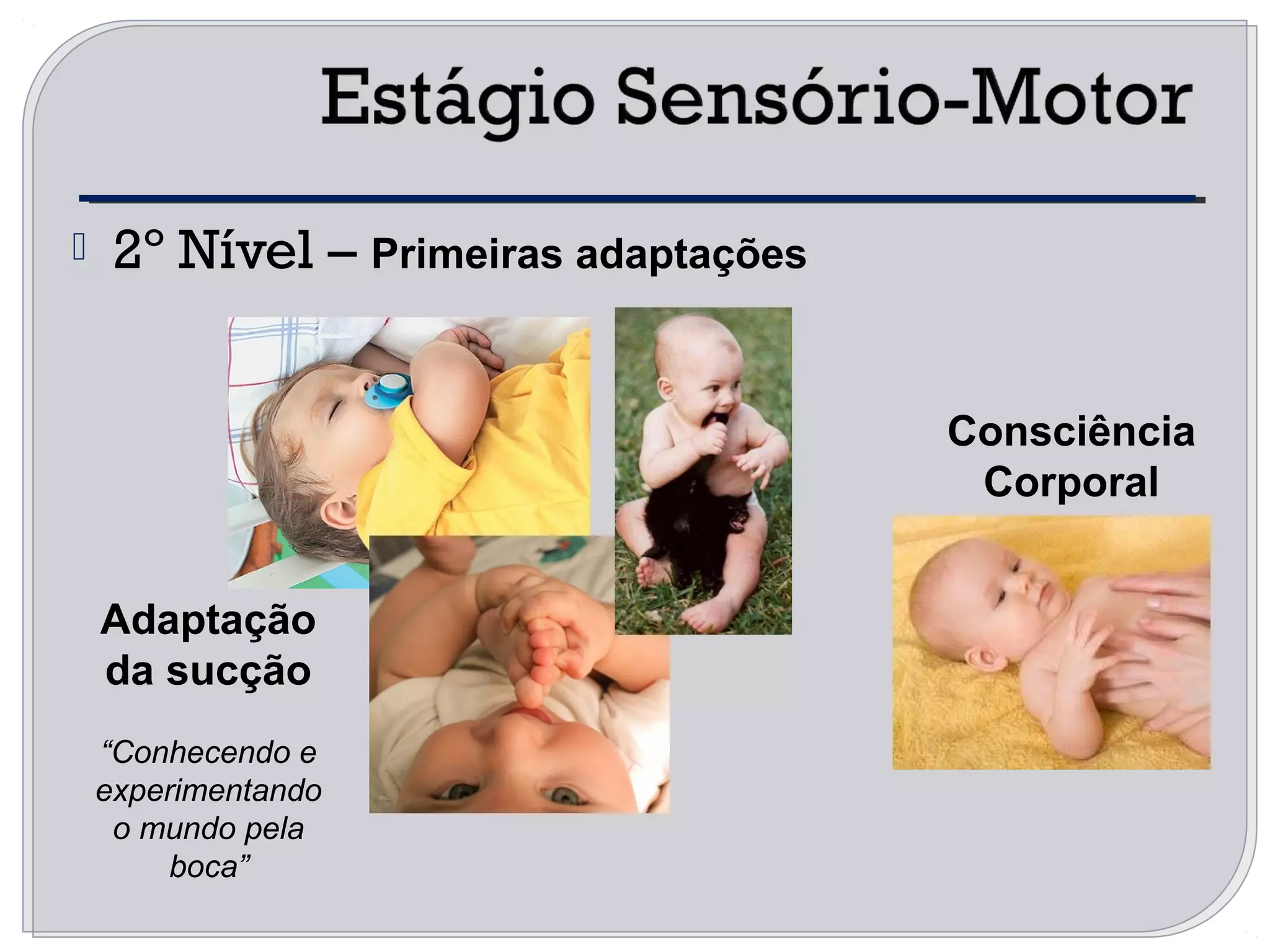  2º Nível – Primeiras adaptações
Consciência
Corporal
Adaptação
da sucção
“Conhecendo e
experimentando
o mundo pela
boca”
 