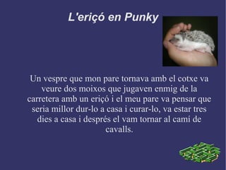 L'eriçó en Punky
Un vespre que mon pare tornava amb el cotxe va
veure dos moixos que jugaven enmig de la
carretera amb un eriçó i el meu pare va pensar que
seria millor dur-lo a casa i curar-lo, va estar tres
dies a casa i després el vam tornar al camí de
cavalls.
 