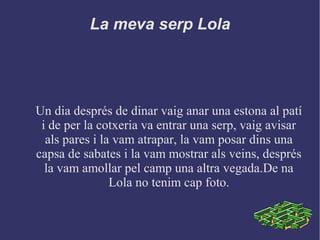 La meva serp Lola
Un dia després de dinar vaig anar una estona al patí
i de per la cotxeria va entrar una serp, vaig avisar
als pares i la vam atrapar, la vam posar dins una
capsa de sabates i la vam mostrar als veins, després
la vam amollar pel camp una altra vegada.De na
Lola no tenim cap foto.
 