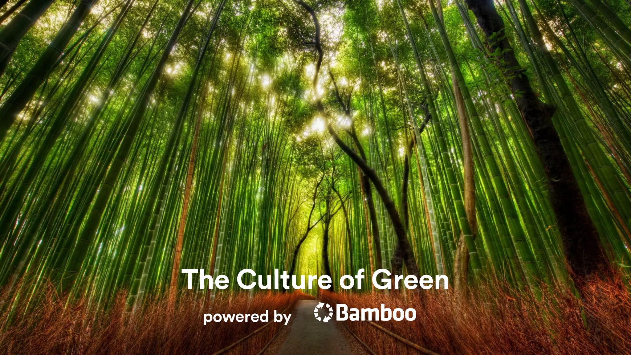 The Culture of Green
powered by
 