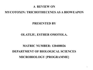 A REVIEW ON
MYCOTOXIN: TRICHOTHECENES AS A BIOWEAPON
PRESENTED BY
OLATEJU, ESTHER OMOTOLA.
MATRIC NUMBER: 120408026
DEPARTMENT OF BIOLOGICAL SCIENCES
MICROBIOLOGY {PROGRAMME}
1
 