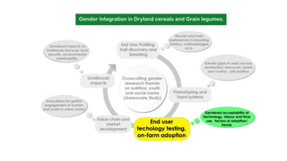 ICRISAT Global Planning Meeting 2019: Gender integration into the GL and DC value chains by Esther Njuguna and team