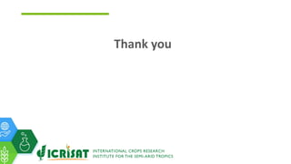 ICRISAT Global Planning Meeting 2019: Gender integration into the GL and DC value chains by Esther Njuguna and team