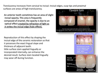 Translucency increases from cervical to incisal. Incisal edges, cusp tips and proximal
surfaces are areas of high translucency.
An anterior tooth sometimes has an area of slight
incisal opacity. This area is frequently
composed of enamel, the opacity is due to an
optical effect created by refraction of light as
it strikes the incisal edge (halo effect).
Reproduction of this effect by shaping the
incisal edge of the ceramic restoration so that
it possesses the exact lingual slope and
thickness of adjacent teeth.
little surface stain applied lingually or
incorporated internally, can enhance the
desired result. Surface stain located lingually
may wear off during function.
 