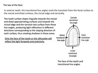 The law of the face:
In anterior teeth, the transitional line angles mark the transition from the facial surface to
the mesial and distal surfaces, the incisal edge and cervically.
The tooth surface slopes lingually towards the mesial
and distal approximating surfaces and towards the
incisal edge and the cervical root surface from these
line angles, producing light reflections in different
directions corresponding to the sloping direction of
each surface, thus creating shadows in these areas.
The face of the tooth and
transitional line angles
Only the face of the tooth or the silhouette will
reflect the light forwards and anteriorly.
 