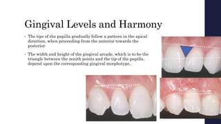 Gingival Levels and Harmony
• The tips of the papilla gradually follow a pattern in the apical
direction, when proceeding from the anterior towards the
posterior
• The width and height of the gingival arcade, which is to be the
triangle between the zenith points and the tip of the papilla,
depend upon the corresponding gingival morphotype,
 