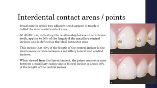 Interdental contact areas / points
• broad zone in which two adjacent teeth appear to touch is
called the interdental contact area
• 50-40-30 rule, indicating the relationship between the anterior
teeth, applies to 50% of the length of the maxillary central
incisors and is defined as the ideal connector zone
• This means that 40% of the length of the central incisor is the
ideal connector zone between a maxillary lateral and central
incisors.
• When viewed from the lateral aspect, the prime connector zone
between a maxillary canine and a lateral incisor is about 30%
of the length of the central incisor
 