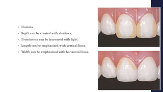 • Illusions
• Depth can be created with shadows.
• Prominence can be increased with light.
• Length can be emphasized with vertical lines.
• Width can be emphasized with horizontal lines.
 