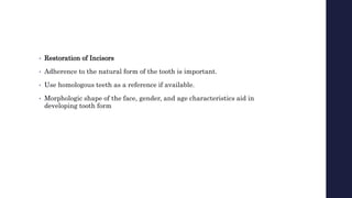 • Restoration of Incisors
• Adherence to the natural form of the tooth is important.
• Use homologous teeth as a reference if available.
• Morphologic shape of the face, gender, and age characteristics aid in
developing tooth form
 