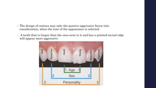 • The design of canines may take the passive-aggressive factor into
consideration, when the tone of the appearance is selected.
• A tooth that is longer than the ones next to it and has a pointed incisal edge
will appear more aggressive
 