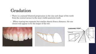 Gradation
• There is a natural bilateral progression in the size and shape of the teeth
from the central incisor to the most visible posterior tooth
• . When viewing two separate but similar objects from a distance, the one
closest will appear to be the larger of the two
 
