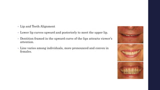 • Lip and Teeth Alignment
• Lower lip curves upward and posteriorly to meet the upper lip.
• Dentition framed in the upward curve of the lips attracts viewer’s
attention.
• Line varies among individuals, more pronounced and convex in
females.
 