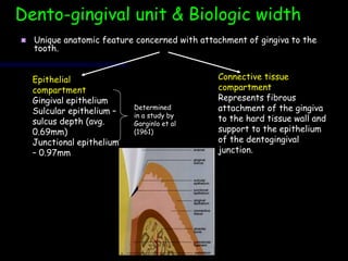 ESTHETICS-MINAL.ppt