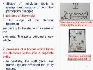 • Shape of individual tooth is
unimportant because of two other
perception principle
1. primacy of the whole.
• The shape of the element
becomes
secondary to the shape of a series of
the
elements. The parts become a new
whole.
2. presence of a border which binds
the elements within into a separate
entity.
• In dentistry, the wall (face) and
frame (lips)are provided for us by
nature.
Dimensions of the new whole
created by the entire series
The border unifies the
Elements within it
 