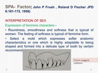 SPA- Factor( John P Frush , Roland D Fischer JPD
6:161-172, 1956)
INTERPRETATION OF SEX
Expression of feminine characters -
• Roundness, smoothness and softness that is typical of
women. The feeling of softness is typical of feminine form.
• Select a mold which expresses softer anatomic
characteristics or one which is highly adaptable to being
shaped and formed into a delicate type of tooth by certain
recommended grinding procedures.
Curve suggest
softness
 