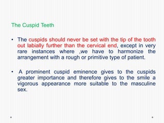 The Cuspid Teeth
• The cuspids should never be set with the tip of the tooth
out labially further than the cervical end, except in very
rare instances where ,we have to harmonize the
arrangement with a rough or primitive type of patient.
• A prominent cuspid eminence gives to the cuspids
greater importance and therefore gives to the smile a
vigorous appearance more suitable to the masculine
sex.
 
