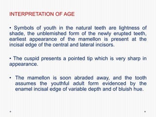 INTERPRETATION OF AGE
• Symbols of youth in the natural teeth are lightness of
shade, the unblemished form of the newly erupted teeth,
earliest appearance of the mamellon is present at the
incisal edge of the central and lateral incisors.
• The cuspid presents a pointed tip which is very sharp in
appearance.
• The mamellon is soon abraded away, and the tooth
assumes the youthful adult form evidenced by the
enamel incisal edge of variable depth and of bluish hue.
 