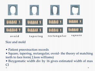 o v o i d t a p e r i n g r e c t a n g u l a r s q u a r e
Size and mold
• Patient preextraction records
• Square, tapering, rectangular, ovoid- the theory of matching
teeth to face form( J.leon williams)
• Bizygomatic width div by 16 gives estimated width of max
CI
 