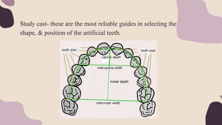 Study cast- these are the most reliable guides in selecting the size,
shape, & position of the artificial teeth.
 