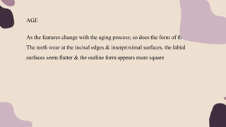 AGE
As the features change with the aging process; so does the form of the teeth.
The teeth wear at the incisal edges & interproximal surfaces, the labial
surfaces seem flatter & the outline form appears more square
 
