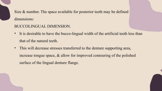Size & number. The space available for posterior teeth may be defined in three
dimensions:
BUCCOLINGUAL DIMENSION.
• It is desirable to have the bucco-lingual width of the artificial teeth less than
that of the natural teeth.
• This will decrease stresses transferred to the denture supporting area,
increase tongue space, & allow for improved contouring of the polished
surface of the lingual denture flange.
 
