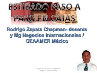 Rodrigo Zapata Chapman - Magister en
Negocios internacionales
 