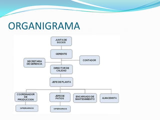 ORGANIGRAMA
 