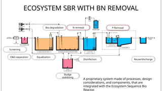 Sequencing Batch Reactor (SBR) Process of Wastewater Treament | PPTX