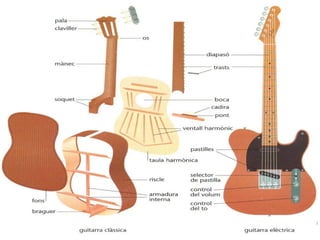 Parts de l'instrument.
 