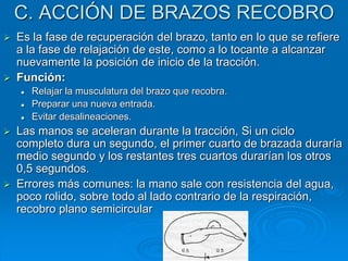 C. ACCIÓN DE BRAZOS RECOBRO
 Es la fase de recuperación del brazo, tanto en lo que se refiere
a la fase de relajación de este, como a lo tocante a alcanzar
nuevamente la posición de inicio de la tracción.
 Función:
 Relajar la musculatura del brazo que recobra.
 Preparar una nueva entrada.
 Evitar desalineaciones.
 Las manos se aceleran durante la tracción, Si un ciclo
completo dura un segundo, el primer cuarto de brazada duraría
medio segundo y los restantes tres cuartos durarían los otros
0,5 segundos.
 Errores más comunes: la mano sale con resistencia del agua,
poco rolido, sobre todo al lado contrario de la respiración,
recobro plano semicircular
 