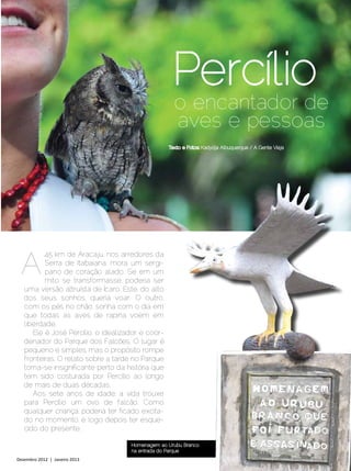 Percílio
                                                     o encantador de
                                                     aves e pessoas
                                                   Texto e Fotos: Kadydja Albuquerque / A Gente Viaja




 A
          45 km de Aracaju, nos arredores da
          Serra de Itabaiana, mora um sergi-
          pano de coração alado. Se em um
          mito se transformasse, poderia ser
   uma versão altruísta de Ícaro. Este, do alto
   dos seus sonhos, queria voar. O outro,
   com os pés no chão, sonha com o dia em
   que todas as aves de rapina voem em
   liberdade.
      Ele é José Percílio, o idealizador e coor-
   denador do Parque dos Falcões. O lugar é
   pequeno e simples, mas o propósito rompe
   fronteiras. O relato sobre a tarde no Parque
   torna-se insignificante perto da história que
   tem sido costurada por Percílio ao longo
   de mais de duas décadas.
      Aos sete anos de idade, a vida trouxe
   para Percílio um ovo de falcão. Como
   qualquer criança, poderia ter ficado excita-
   do no momento, e logo depois ter esque-
   cido do presente.

                                     Homenagem ao Urubu Branco
                                     na entrada do Parque
Dezembro 2012 | Janeiro 2013	                                                                           Estilo Damha | 31
 