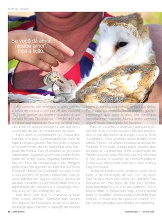 ESPECIAL SERGIPE




  “Se você dá amor,
    recebe amor”.
     Fica a lição.




       Ao contrário, ele entregou a uma galinha         inteiro. Aprendeu colocando-se no lugar deles.
    o ofício de chocar o ovo por 28 dias. Nasceu        Foi o caso da reprodução da espécie gavião-
    Tito, que, apesar do nome masculino, é um           pernilongo, que, após 11 anos, ele conseguiu
    carcará fêmea. Tito está com Percíl io até hoje     reproduzir em cativeiro. Nunca antes cientista
    e nunca quis reproduzir. Sua cria já havia nas-     algum havia conseguido tal façanha.
    cido com ele quando despertou em seu dono              Para os visitantes, a diversão garantida é po-
    a vontade de ser um encantador de aves.             der tirar fotos com as corujas e falcões adestra-
       Há 27 anos, o coordenador do Parque dos          dos. O carcará Dara e as corujas Lucinha, Zilda,
    Falcões vive para a preservação de aves de          Jurubeba e Zeus já estão acostumados com
    rapina: corujas, gaviões, falcões, urubus, águias   tantos flashes. Jurubeba, inclusive, já esteve no
    e, na contramão, até um tamanduá virou hós-         Faustão. É na visita guiada pelos viveiros que
    pede do Parque. São 28 espécies e 300 aves          dá para se surpreender com a dedicação de
    adestradas. Algumas voam livre, outras ficam        Percílio a essas aves. Ele traz tudo na memória
    parte do tempo soltas. Algumas também es-           e não poupa o visitante de nenhum detalhe.
    tão em fase de recuperação, pois chegam             Conta suas conquistas com brilho nos olhos e
    pelas mãos de agentes do Ibama e da Policia         fala apressada.
    Florestal, vítimas da crueldade humana. Com            Se for no horário certo, ainda se pode vê-lo
    o seu parceiro no projeto, Alexandre, trata as      fazer a demonstração de voo com as aves.
    aves, adestra em alguns casos e dedica-se           Elas se exercitam três vezes por semana. São
    ao que considero a sua missão mais nobre: a         treinadas em três tipos de voo: para turistas,
    reprodução em cativeiro e a reinserção des-         para reportagem e o voo de exercício. Até o
    sas aves em seu habitat natural.                    final do mês, o Parque terá mais uma novidade
       Não teve livro que o ensinasse a falar           para os visitantes. Percílio está recebendo duas
    com esses animais. Também não vieram                Harpias, a maior ave de rapina do mundo. Es-
    dos bancos da faculdade as técnicas de re-          tão sendo enviadas pelo Ibama da Amazônia.
    produção que chamam a atenção do mundo
32 | Estilo Damha	                                                                 Dezembro 2012 | Janeiro 2013
 