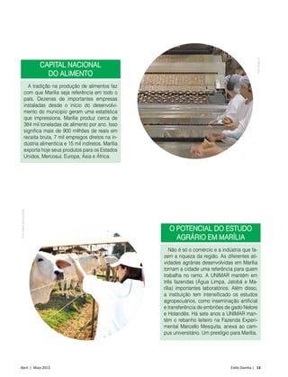 Abril | Maio 2013	 Estilo Damha | 13
O potencial do estudo
agrário em Marília
Não é só o comércio e a indústria que fa-
zem a riqueza da região. As diferentes ati-
vidades agrárias desenvolvidas em Marília
tornam a cidade uma referência para quem
trabalha no ramo. A UNIMAR mantém em
três fazendas (Água Limpa, Jatobá e Ma-
rília) importantes laboratórios. Além disso,
a instituição tem intensificado os estudos
agropecuários, como inseminação artificial
e transferência de embriões de gado Nelore
e Holandês. Há sete anos a UNIMAR man-
tém o rebanho leiteiro na Fazenda Experi-
mental Marcello Mesquita, anexa ao cam-
pus universitário. Um prestígio para Marília.
CAPITAL NACIONAL
DO ALIMENTO
A tradição na produção de alimentos faz
com que Marília seja referência em todo o
país. Dezenas de importantes empresas
instaladas desde o início do desenvolvi-
mento do município geram uma estatística
que impressiona. Marília produz cerca de
384 mil toneladas de alimento por ano. Isso
significa mais de 900 milhões de reais em
receita bruta, 7 mil empregos diretos na in-
dústria alimentícia e 15 mil indiretos. Marília
exporta hoje seus produtos para os Estados
Unidos, Mercosul, Europa, Ásia e África.
FotoDiretrizEducacional
FotoPortalG1
 