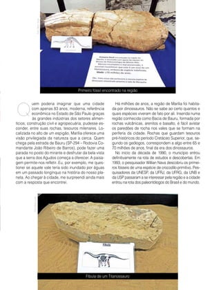 Abril | Maio 2013	 Estilo Damha | 15
uem poderia imaginar que uma cidade
com apenas 83 anos, moderna, referência
econômica no Estado de São Paulo graças
às grandes indústrias dos setores alimen-
tícios, construção civil e agropecuária, pudesse es-
conder, entre suas rochas, tesouros milenares. Lo-
calizada no alto de um espigão, Marília oferece uma
visão privilegiada da natureza que a cerca. Quem
chega pela estrada de Bauru (SP-294 – Rodovia Co-
mandante João Ribeiro de Barros), pode fazer uma
parada no posto do mirante e desfrutar da bela vista
que a serra dos Agudos começa a oferecer. A paisa-
gem permite-nos refletir. Eu, por exemplo, me ques-
tionei se aquele vale teria sido inundado por águas
em um passado longínquo na história do nosso pla-
neta. Ao chegar à cidade, me surpreendi ainda mais
com a resposta que encontrei.
Há milhões de anos, a região de Marília foi habita-
da por dinossauros. Não se sabe ao certo quantos e
quais espécies viveram de fato por ali. Inserida numa
região conhecida como Bacia de Bauru, formada por
rochas vulcânicas, arenitos e basalto, é fácil avistar
os paredões de rocha nos vales que se formam na
periferia da cidade. Rochas que guardam tesouros
pré-históricos do período Cretáceo Superior, que, se-
gundo os geólogos, correspondem a algo entre 65 e
70 milhões de anos, final da era dos dinossauros.
No início da década de 1990, o município entrou
definitivamente na rota de estudos e descobertas. Em
1993, o pesquisador Willian Nava descobriu os primei-
ros fósseis de uma espécie de crocodilo primitivo. Pes-
quisadores da UNESP, da UFRJ, da UFRG, da UNB e
da USP passaram a se interessar pela região e a cidade
entrou na rota dos paleontólogos do Brasil e do mundo.
Q
Primeiro fóssil encontrado na região
Fíbula de um Titanossauro
FotoDécioJunior
FotoDécioJunior
 
