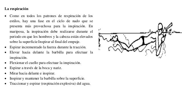 Resultado de imagen de respiracion en estilo mariposa